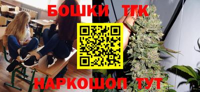 индика Рыбинск