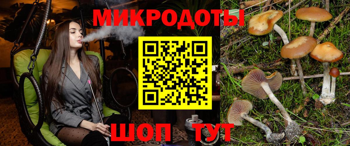 Галлюциногенные грибы Magic Shrooms Острогожск
