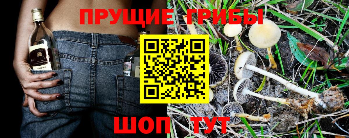 Галлюциногенные грибы ЛСД  Вход с VPN  Псилоцибиновые грибы MAGIC MUSHROOMS  Острогожск 